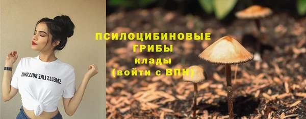 стаф Абдулино