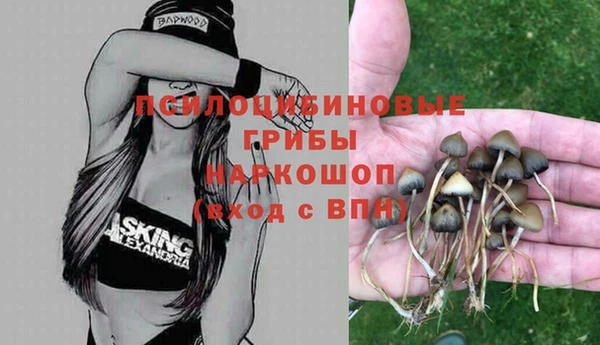 каннабис Алексеевка