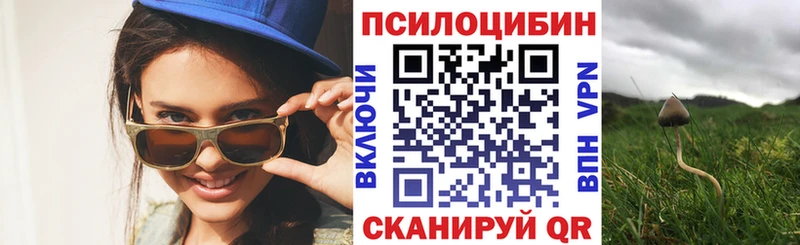 где купить наркоту  Янаул  Псилоцибиновые грибы GOLDEN TEACHER 